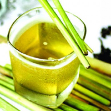 Mách bạn tinh dầu sả nguyên chất tốt nhất tại thành phố Hồ Chí Minh?